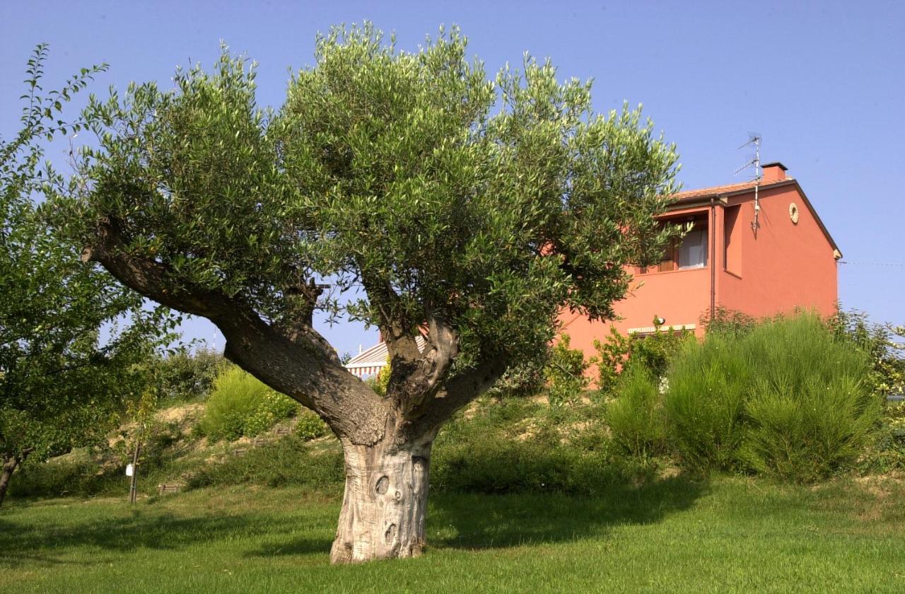 A3Passi Villa Ancona Ngoại thất bức ảnh